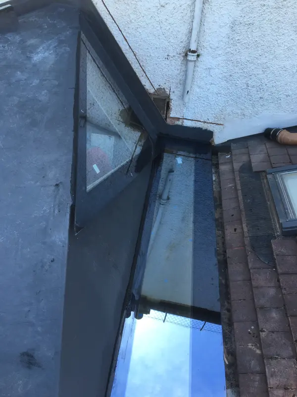 Skylights East Sheen